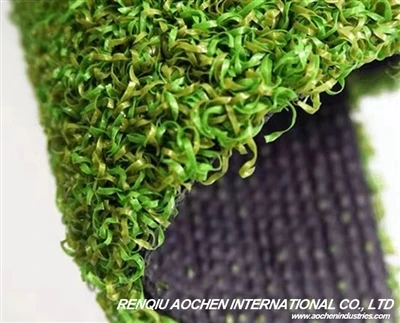 Backyard To Pro Golf Green? Home Golf Business Opportunity