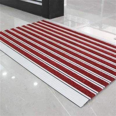 Multifunctional Aluminum Entrance Door Mat 6000
